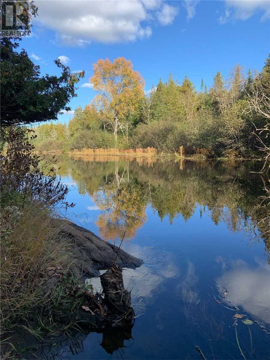 Calm river and autumn trees near the property